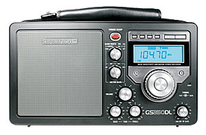 Grundig S350DL